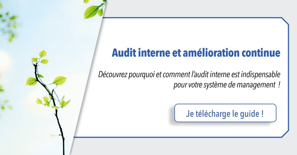 cta-qualix-guide-audit-interne