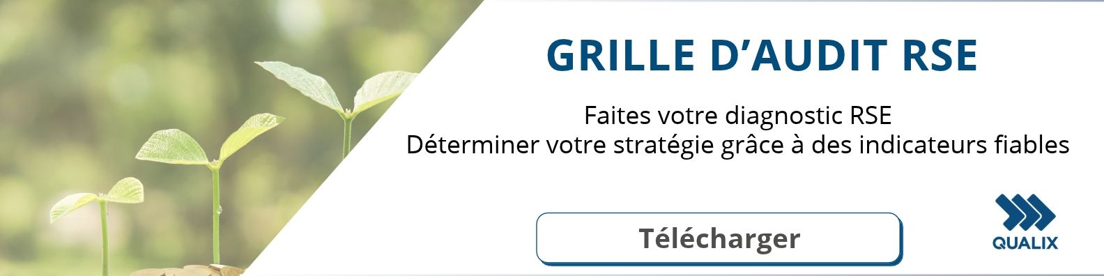 structurer ses idées et ses preuves RSE structurer ses idées et ses preuves RSE -grille audit rse avec qualix